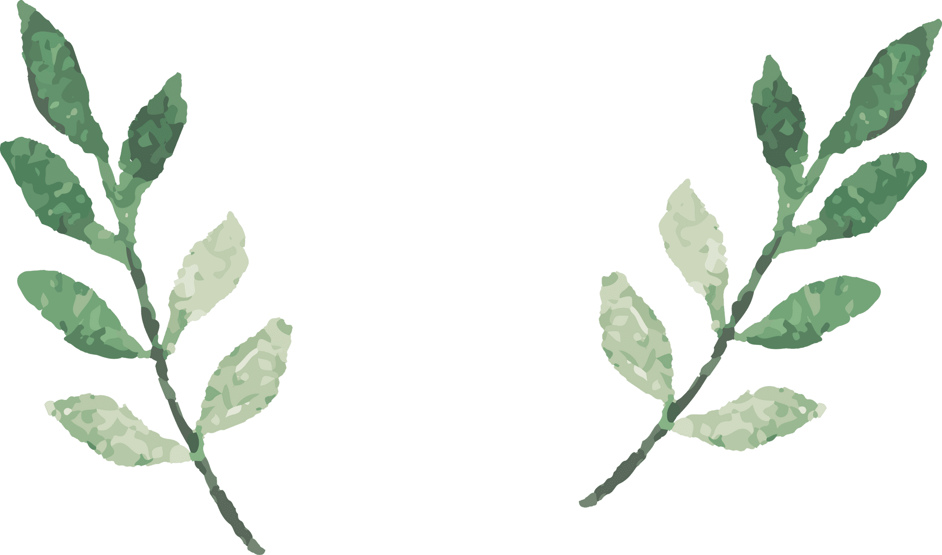 Green Leafy Twigs Illustration PNG Image