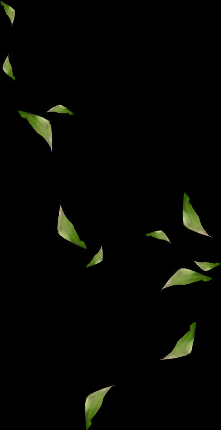 Green Leaves Against Black Background PNG Image