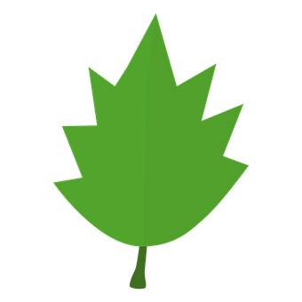 Green Maple Leaf Black Background PNG Image