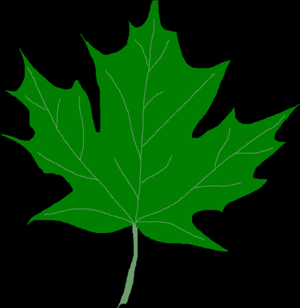 Green Maple Leaf Clipart PNG Image