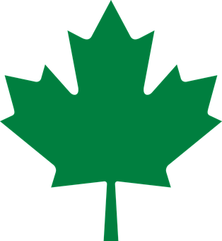 Green Maple Leaf Graphic PNG Image