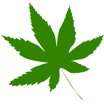 Green Maple Leaf Icon PNG Image