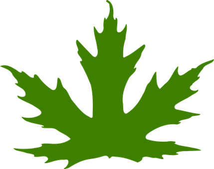 Green Maple Leaf Silhouette PNG Image