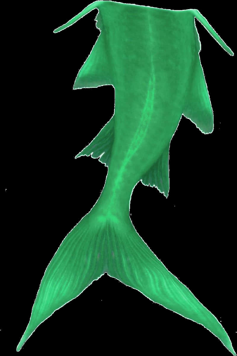 Green Mermaid Tail Graphic PNG Image