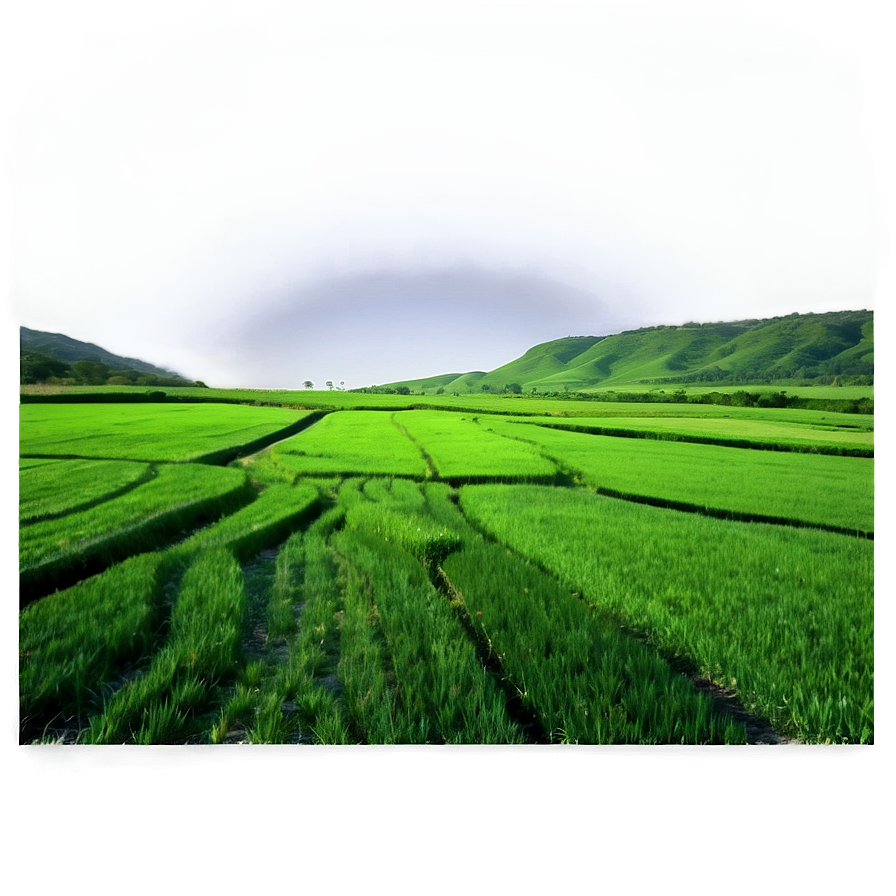 Green Mesa Fields Png Bef PNG Image