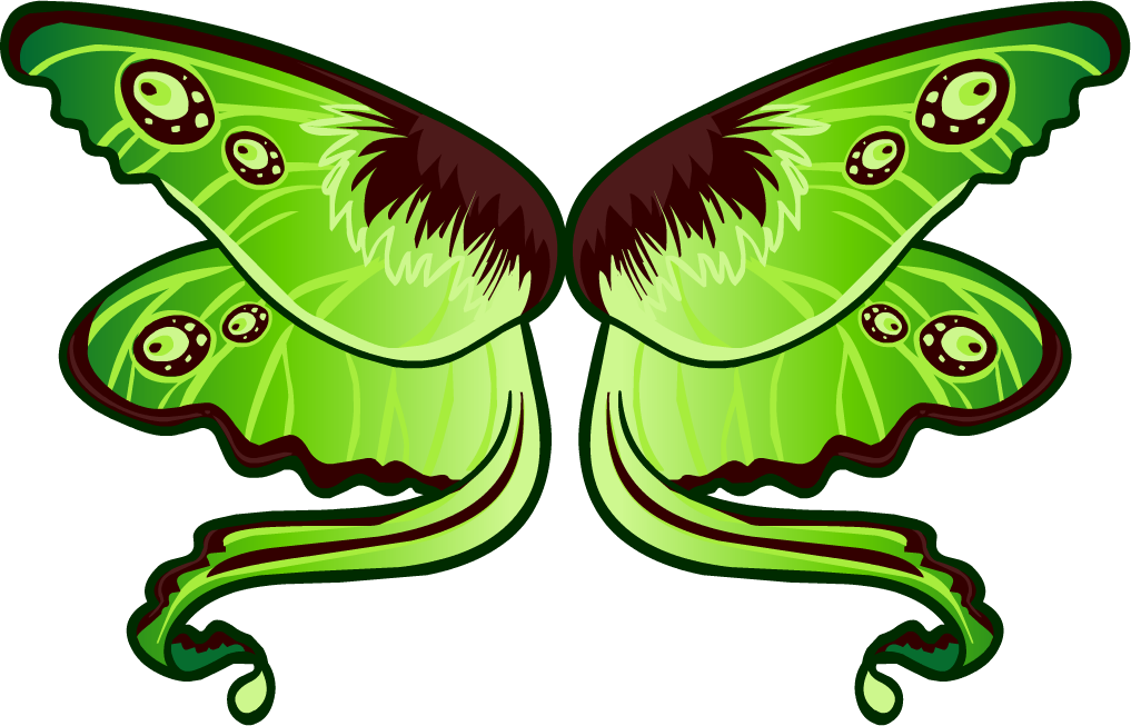 Green Moth Illustration PNG Image