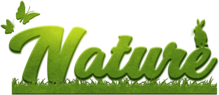 Green Nature Text Design PNG Image