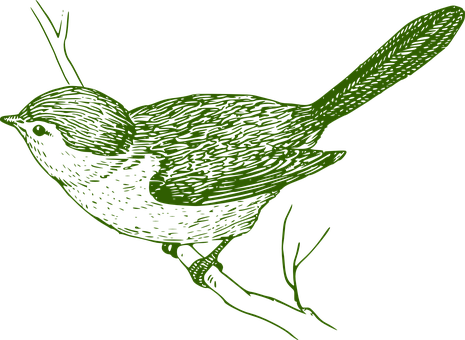 Green Outlined Bird Illustration PNG Image