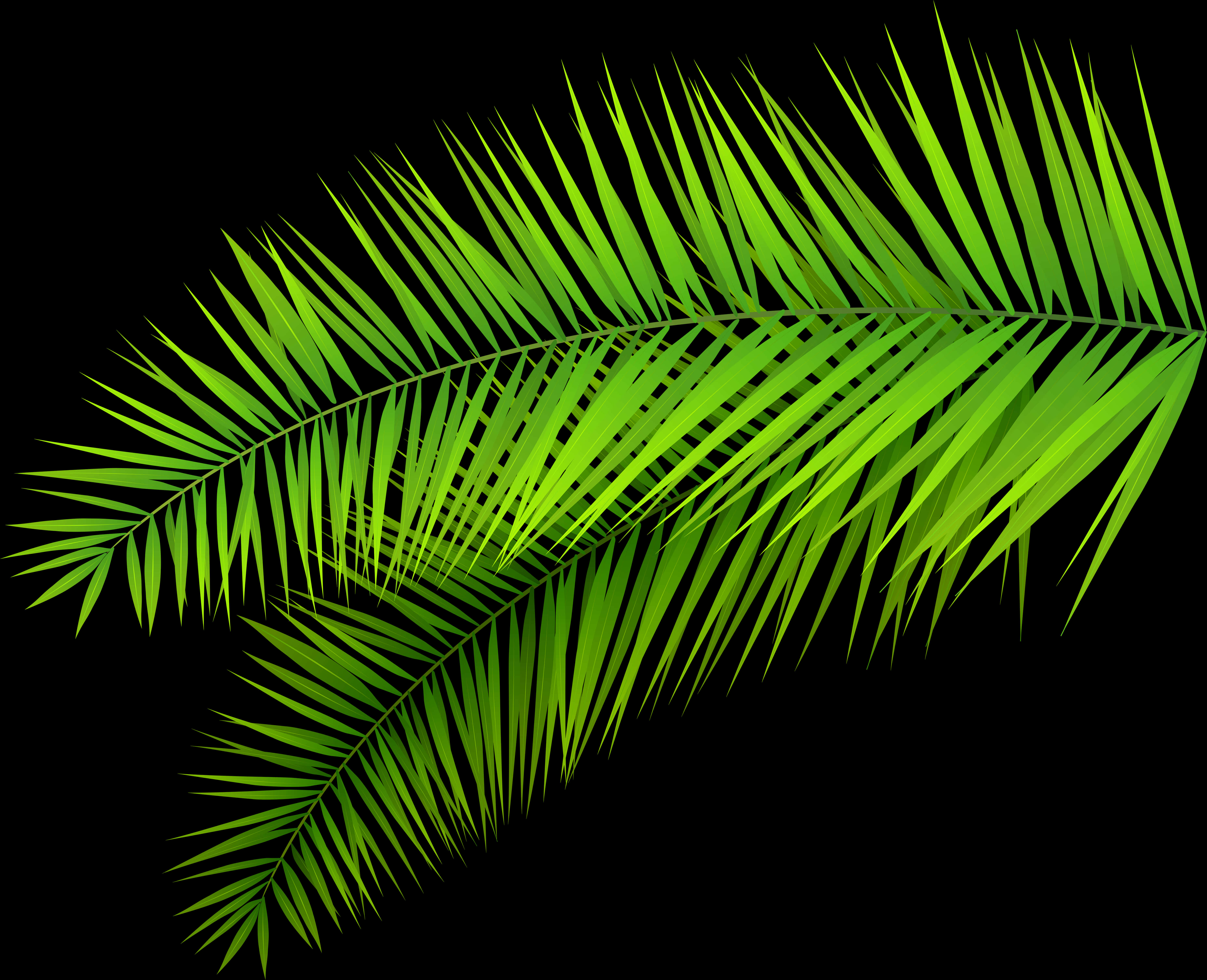 Green Palm Frond Clipart PNG Image