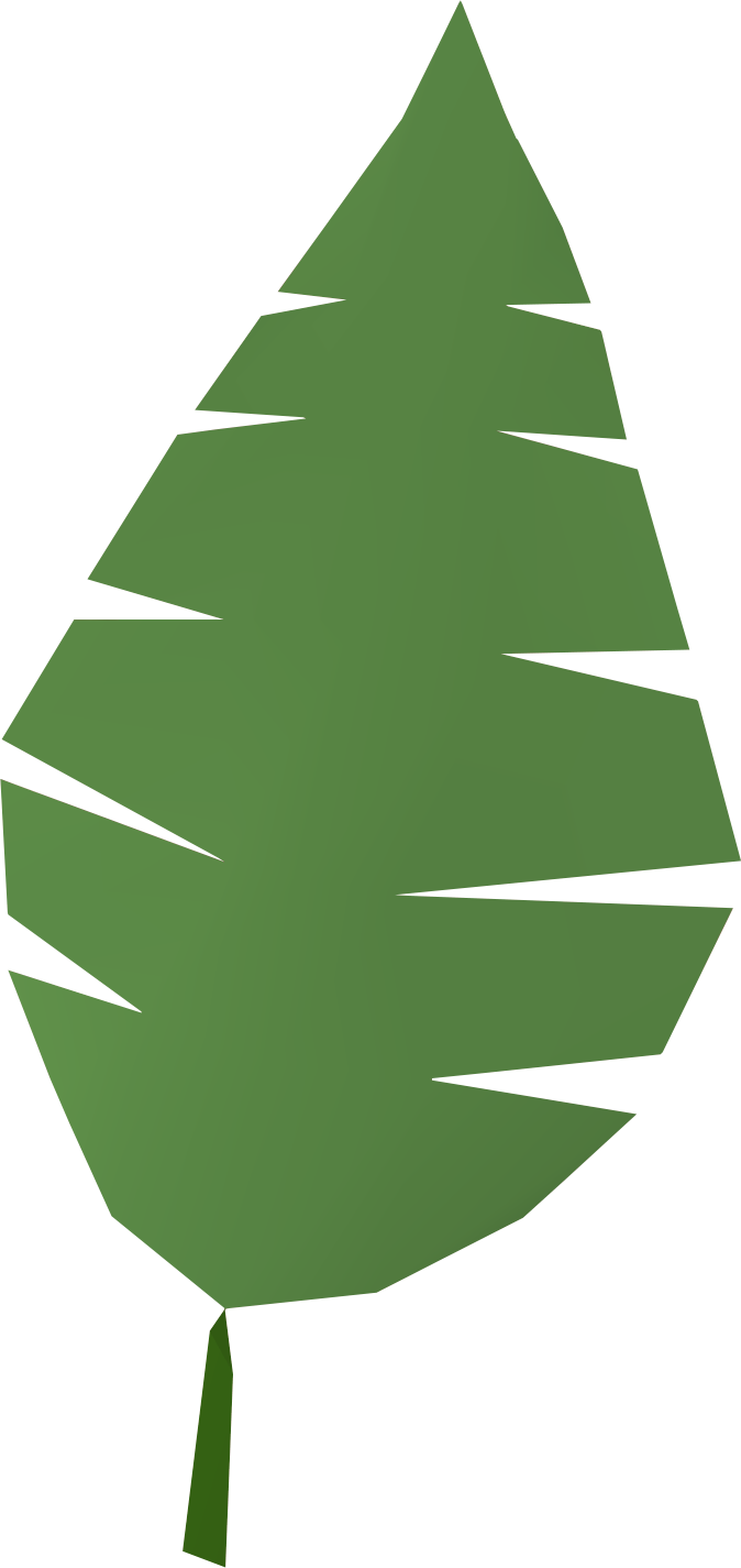 Green Palm Leaf Graphic PNG Image