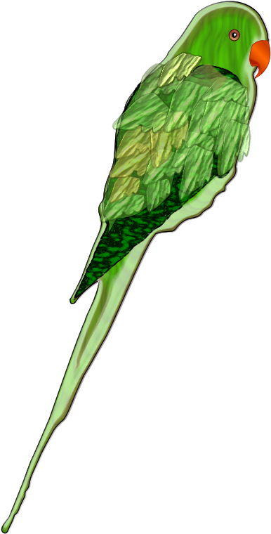 Green Parrot Illustration.png PNG Image