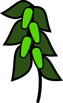 Green Peapod Icon PNG Image