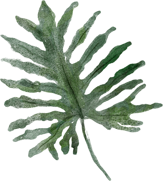 Green Philodendron Leaf Texture PNG Image