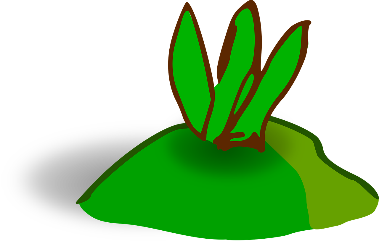 Green Plant Growing From Soil PNG Image