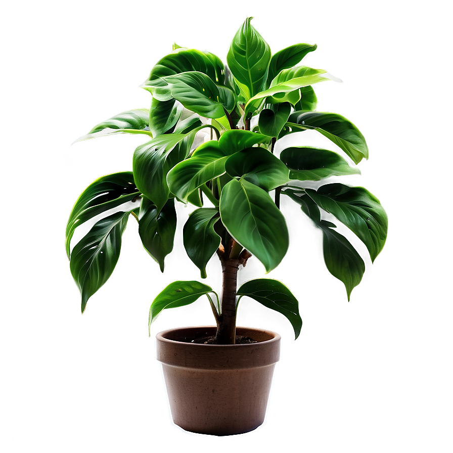 Green Plant Png Pid89 PNG Image