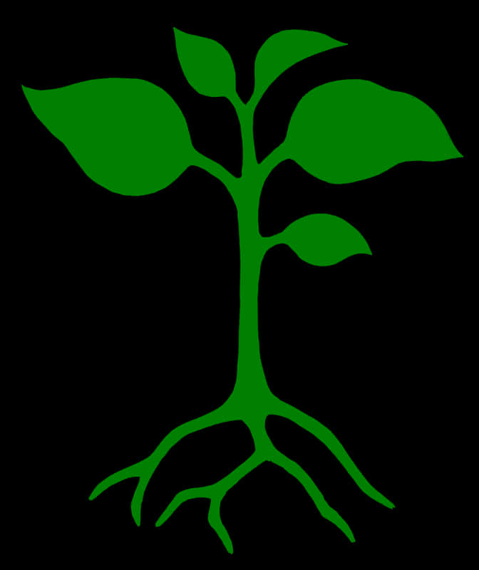 Green Plant Silhouetteon Black Background PNG Image