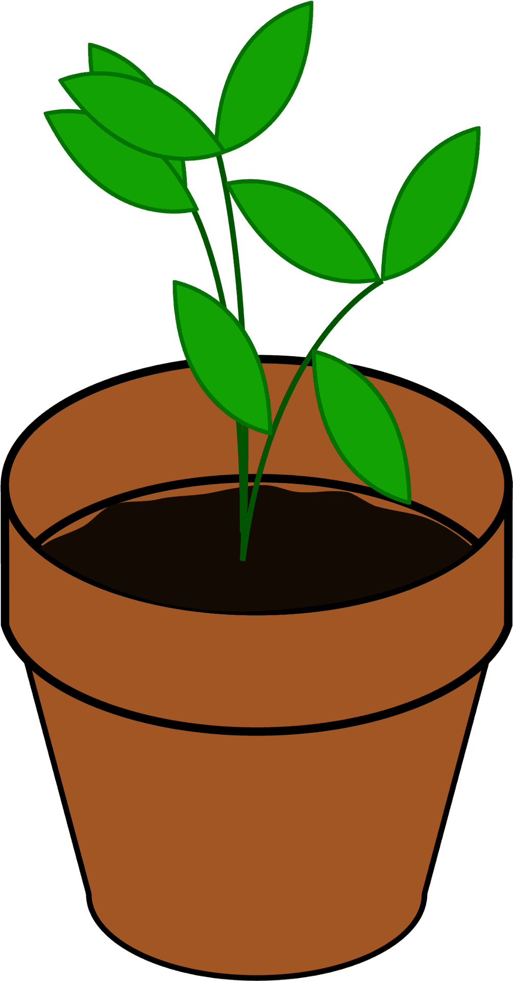 Green Plantin Terra Cotta Pot PNG Image