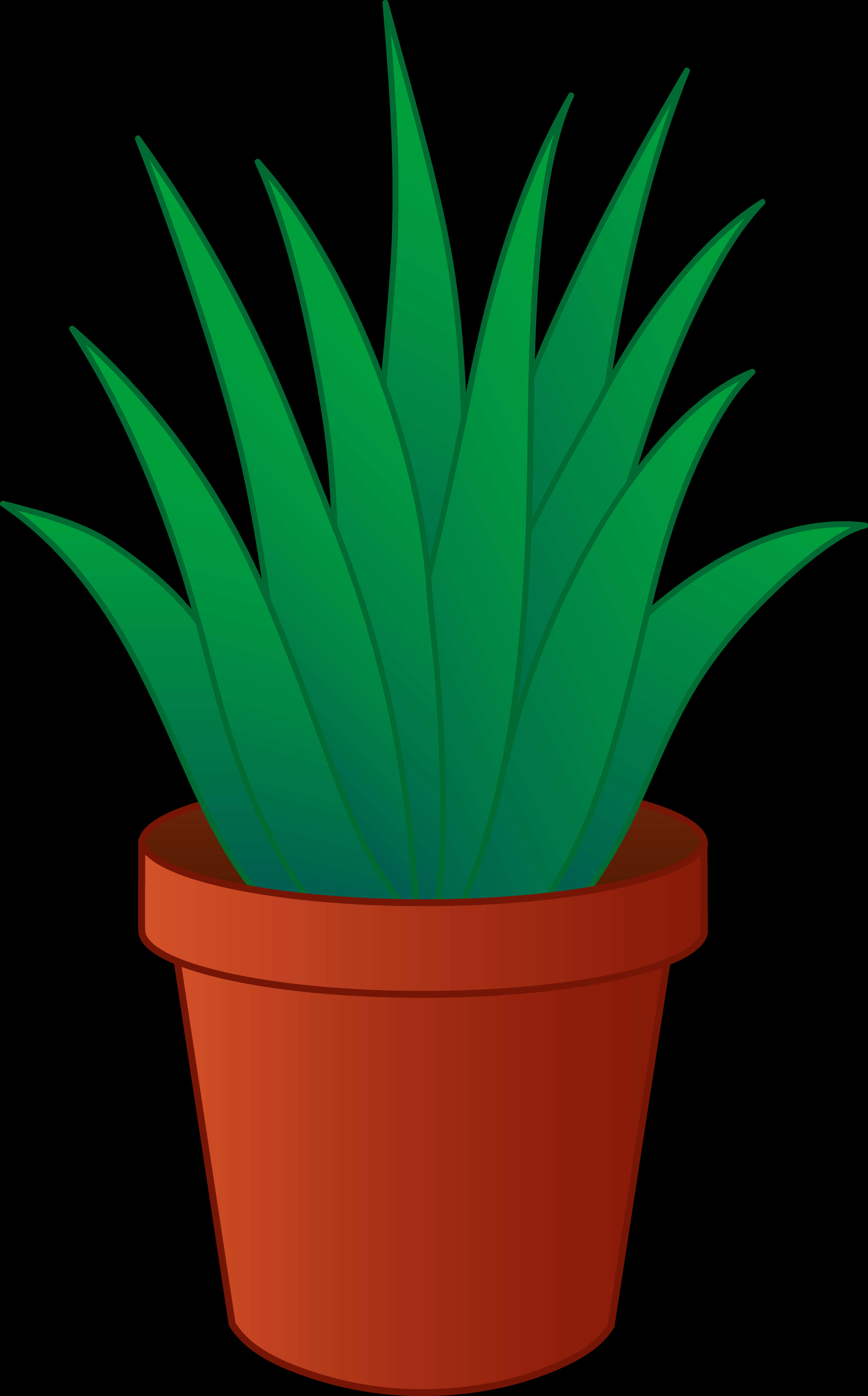 Green Plantin Terra Cotta Pot Illustration PNG Image