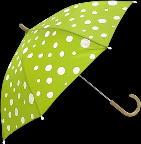 Green Polka Dot Umbrella PNG Image