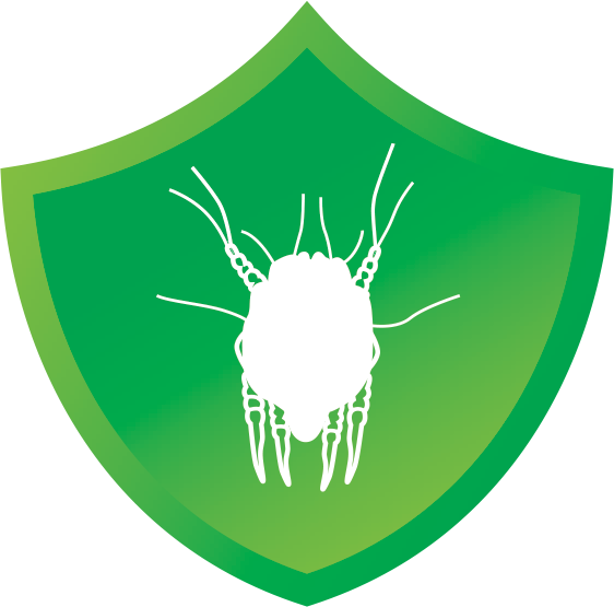 Green Shield Virus Icon PNG Image