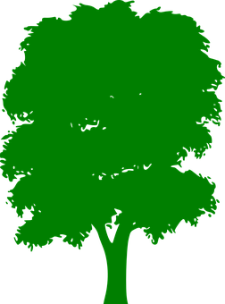 Green Silhouette Treeon Black Background PNG Image