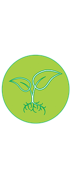 Green Sprout Icon PNG Image