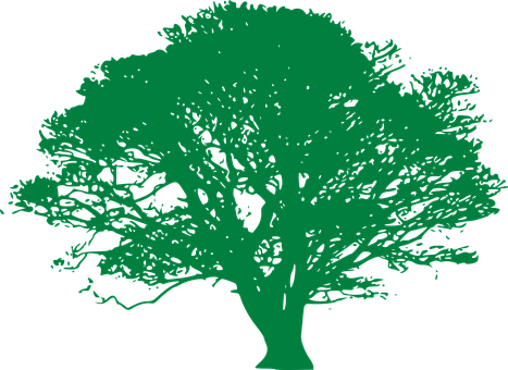 Green Tree Silhouette PNG Image