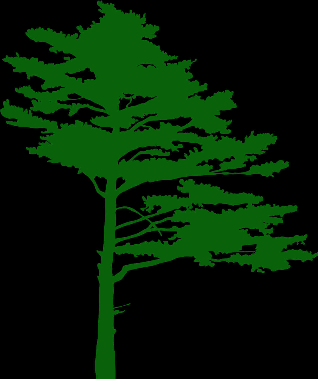 Green Tree Silhouette PNG Image