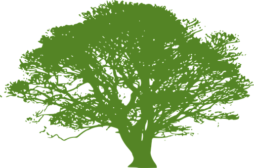 Green Tree Silhouetteon Black Background PNG Image