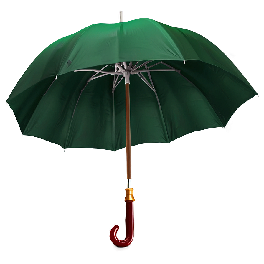 Green Umbrella Png Lfu PNG Image