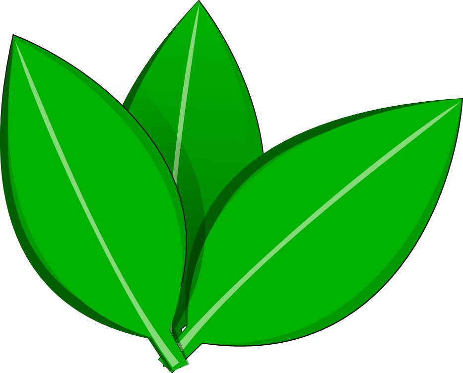 Green Vector Leaves Illustration PNG Image