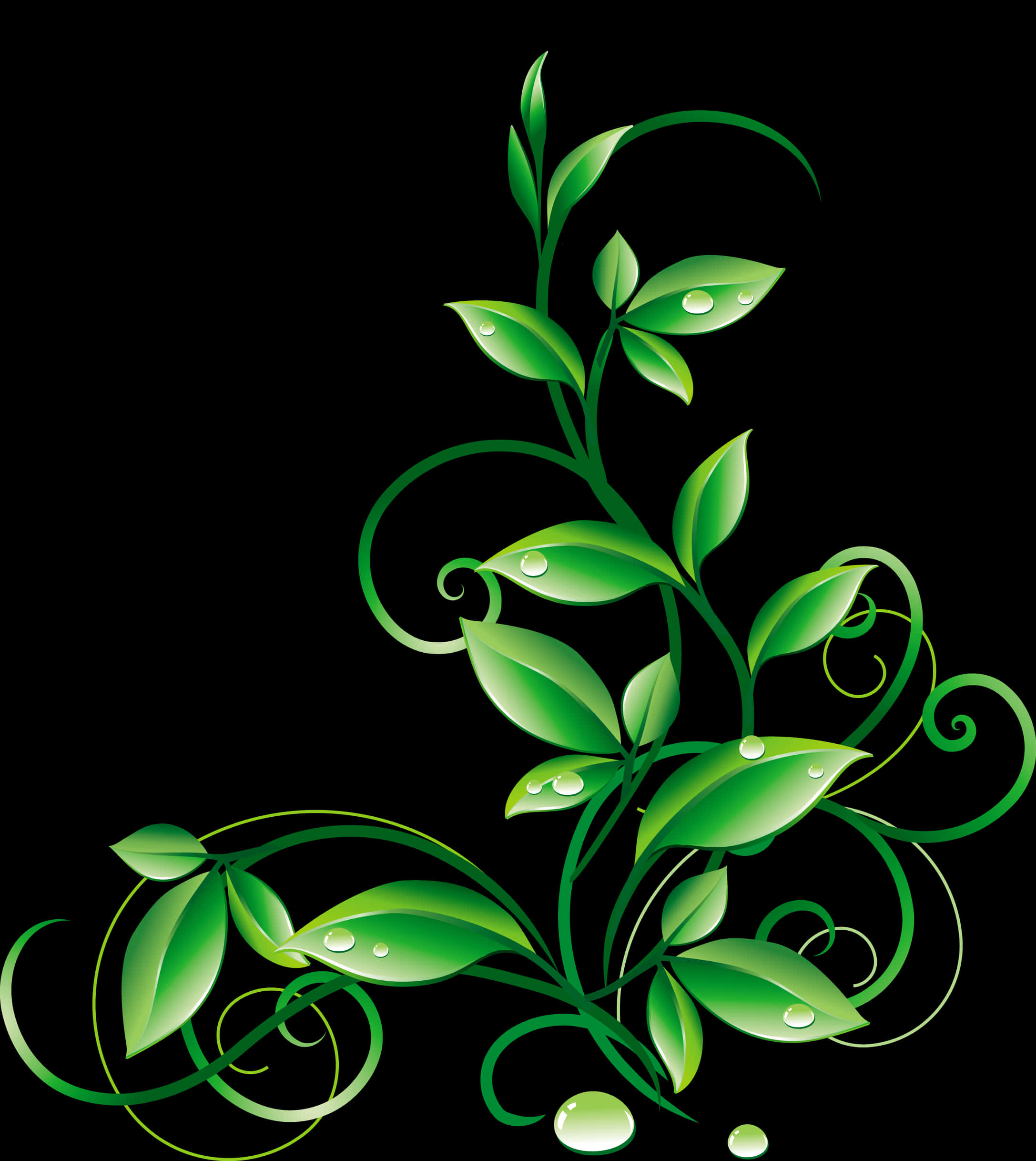 Green Vine Dew Drops Graphic PNG Image