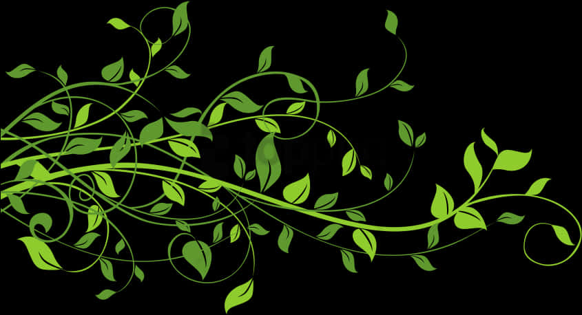 Green Vine Flourish Black Background PNG Image