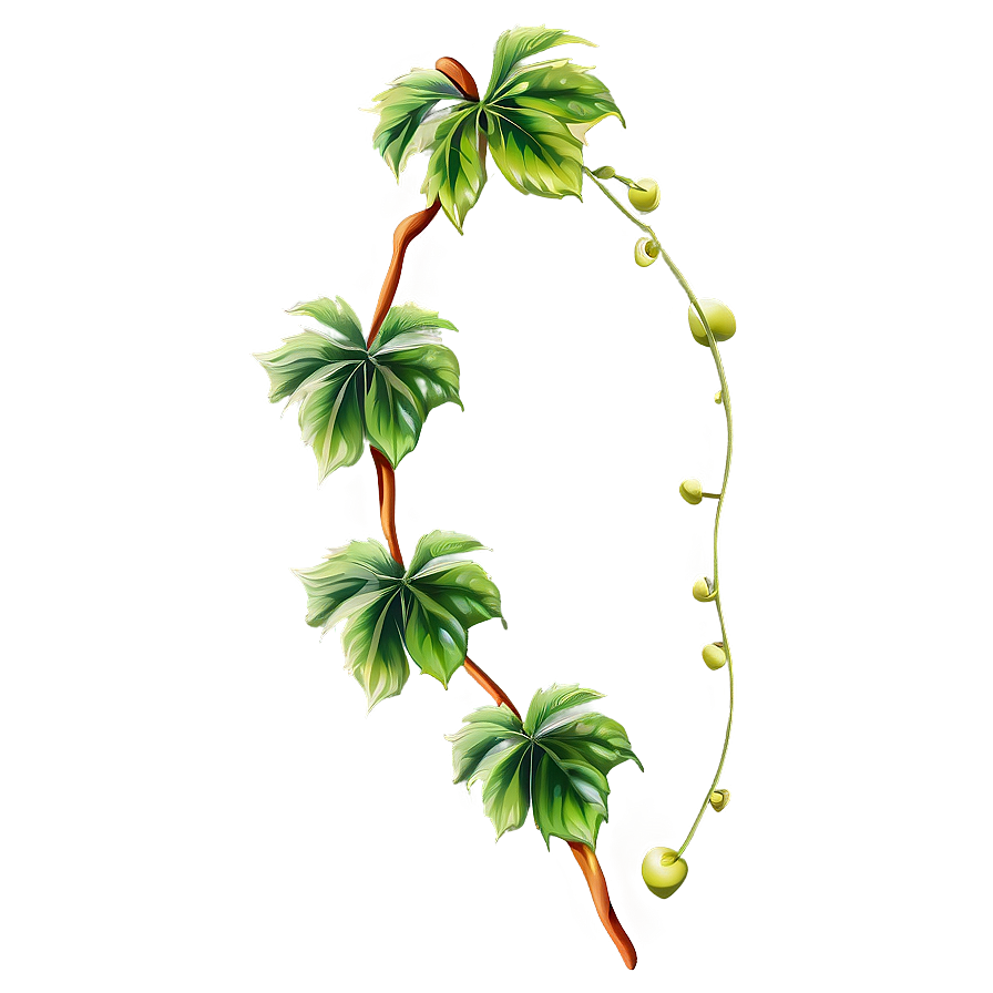 Green Vine Leavesand Tendrils PNG Image