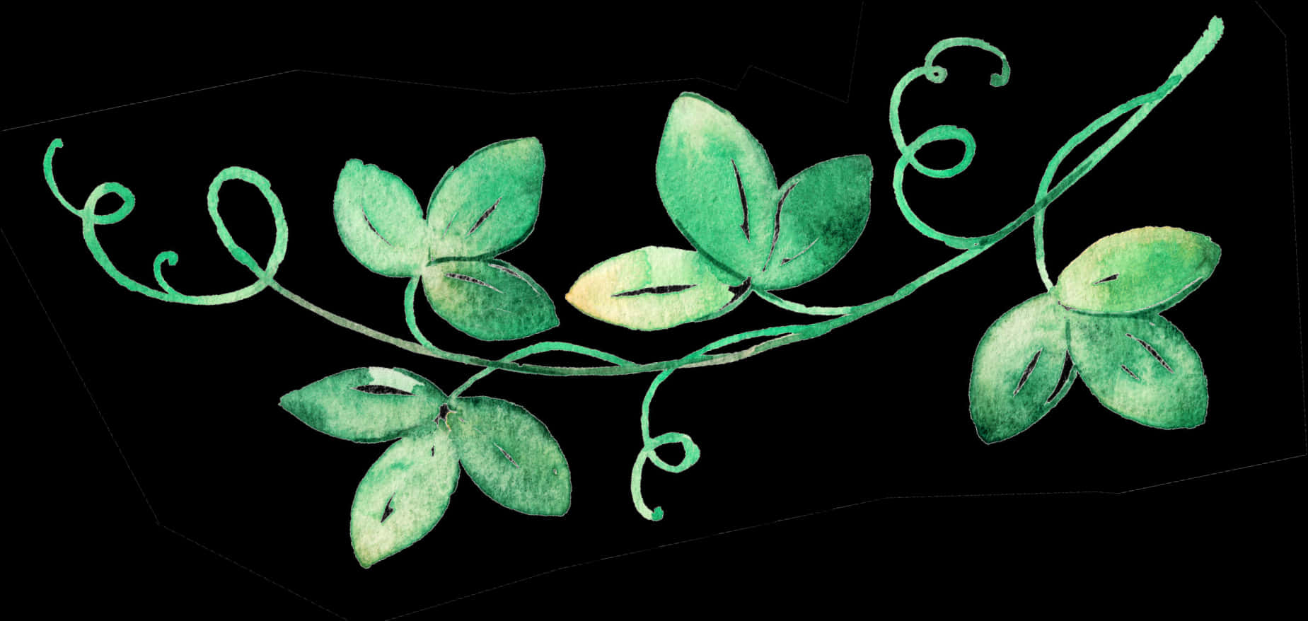 Green Vine Watercolor Divider PNG Image