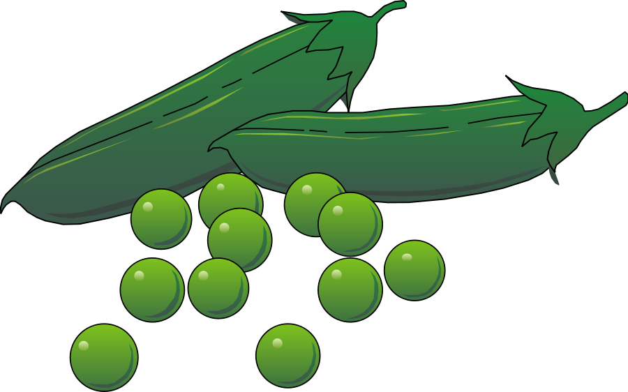 Green Zucchiniand Peas Illustration PNG Image