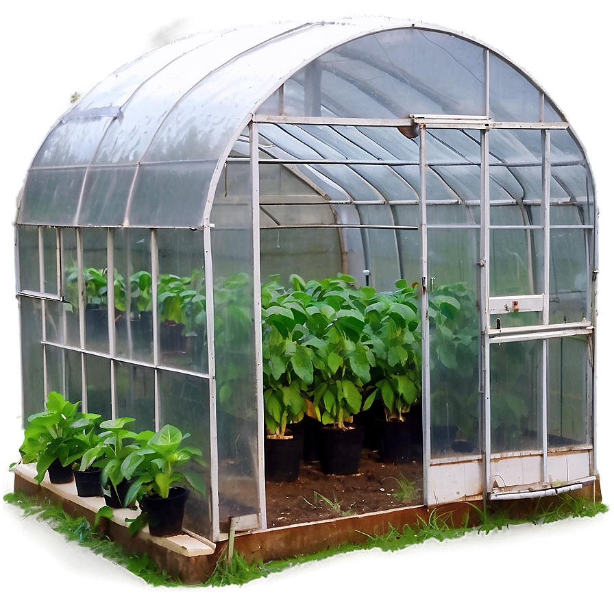 Greenhouse Farming Techniques Png 84 PNG Image