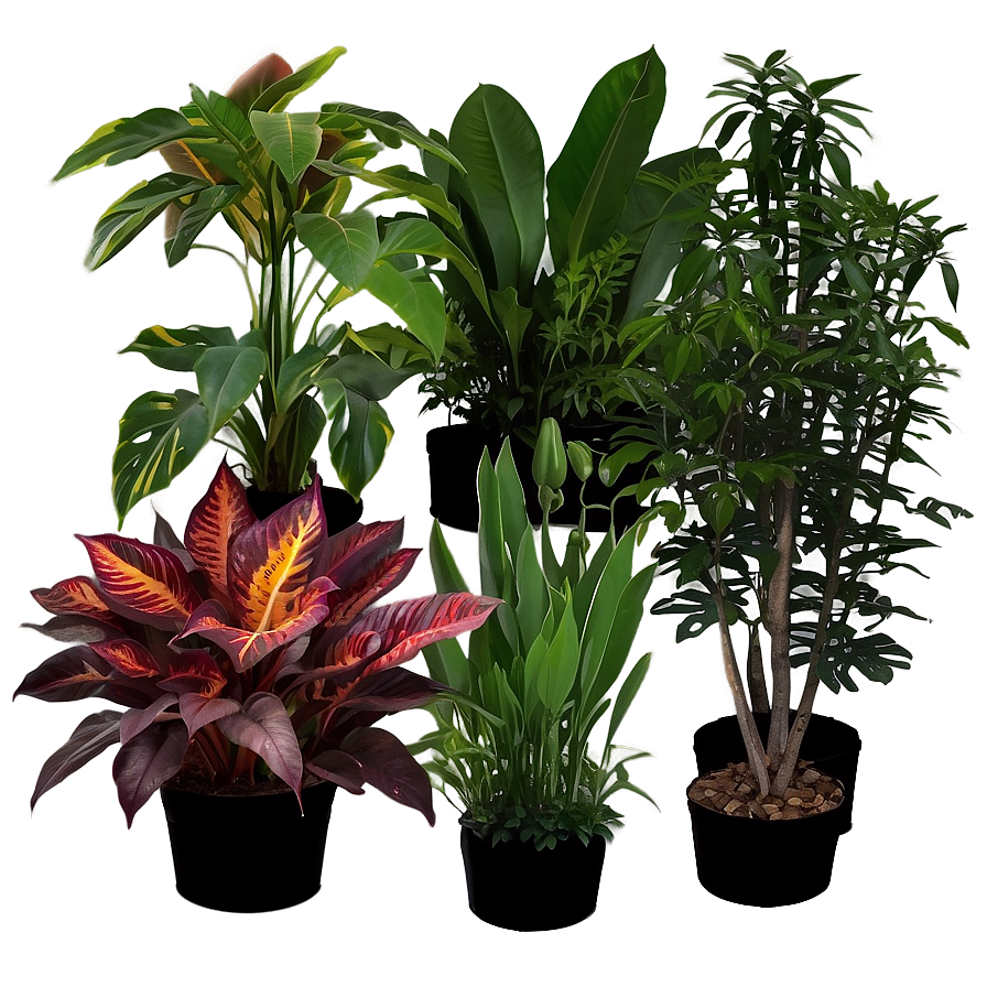 Greenhouse Plants Png Wut41 PNG Image