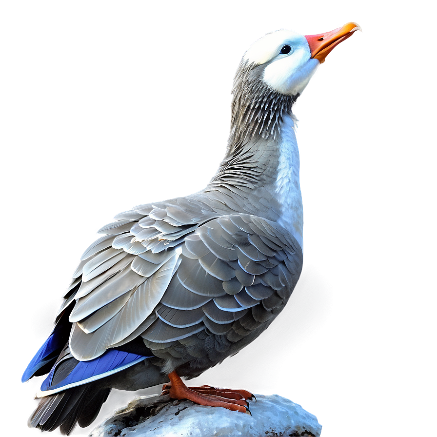 Grey Goose C PNG Image