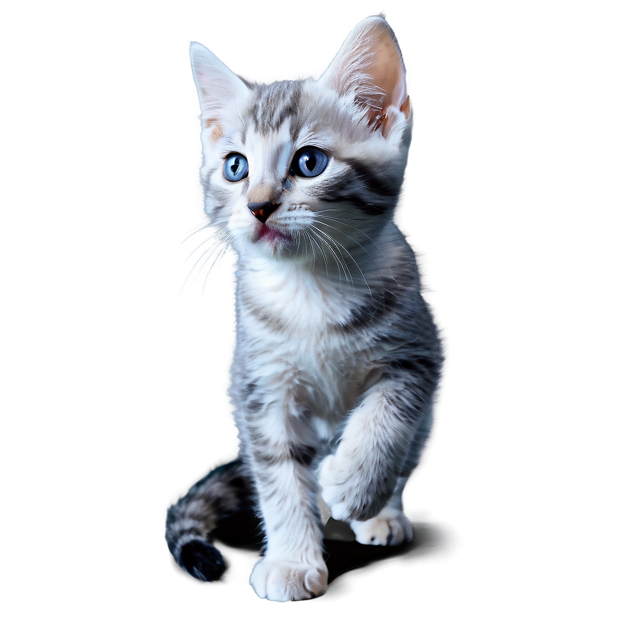 Grey Kitten Png Dia PNG Image