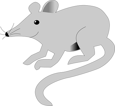 Grey Mouse Graphicon Black Background PNG Image