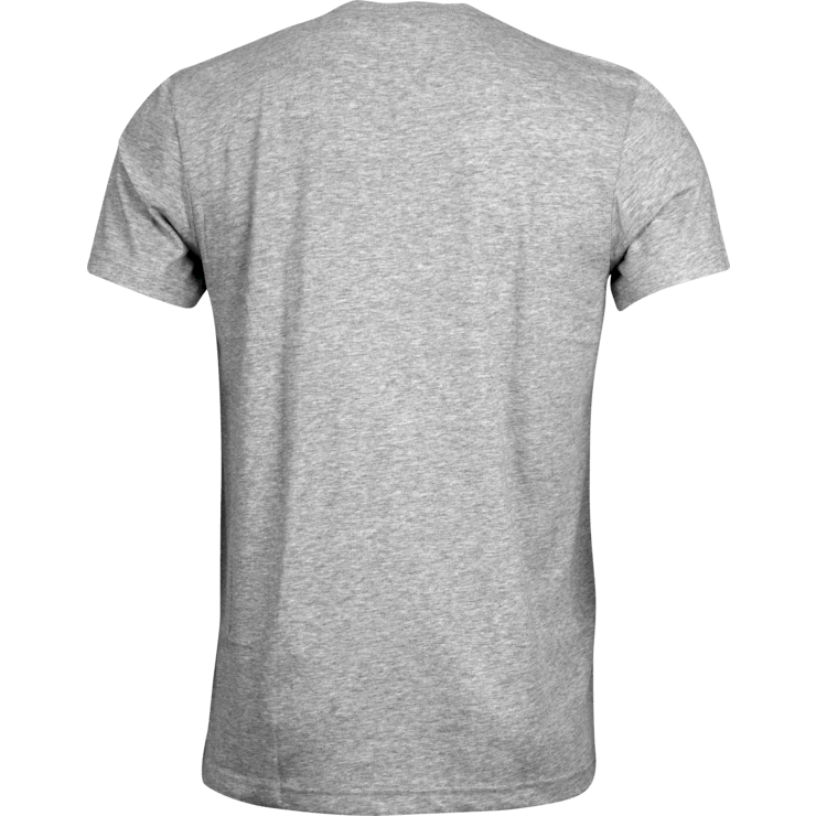 Grey T Shirt Back View PNG Image