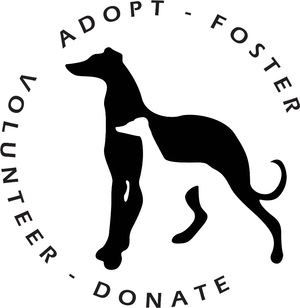 Greyhound Adoption Support Graphic PNG Image