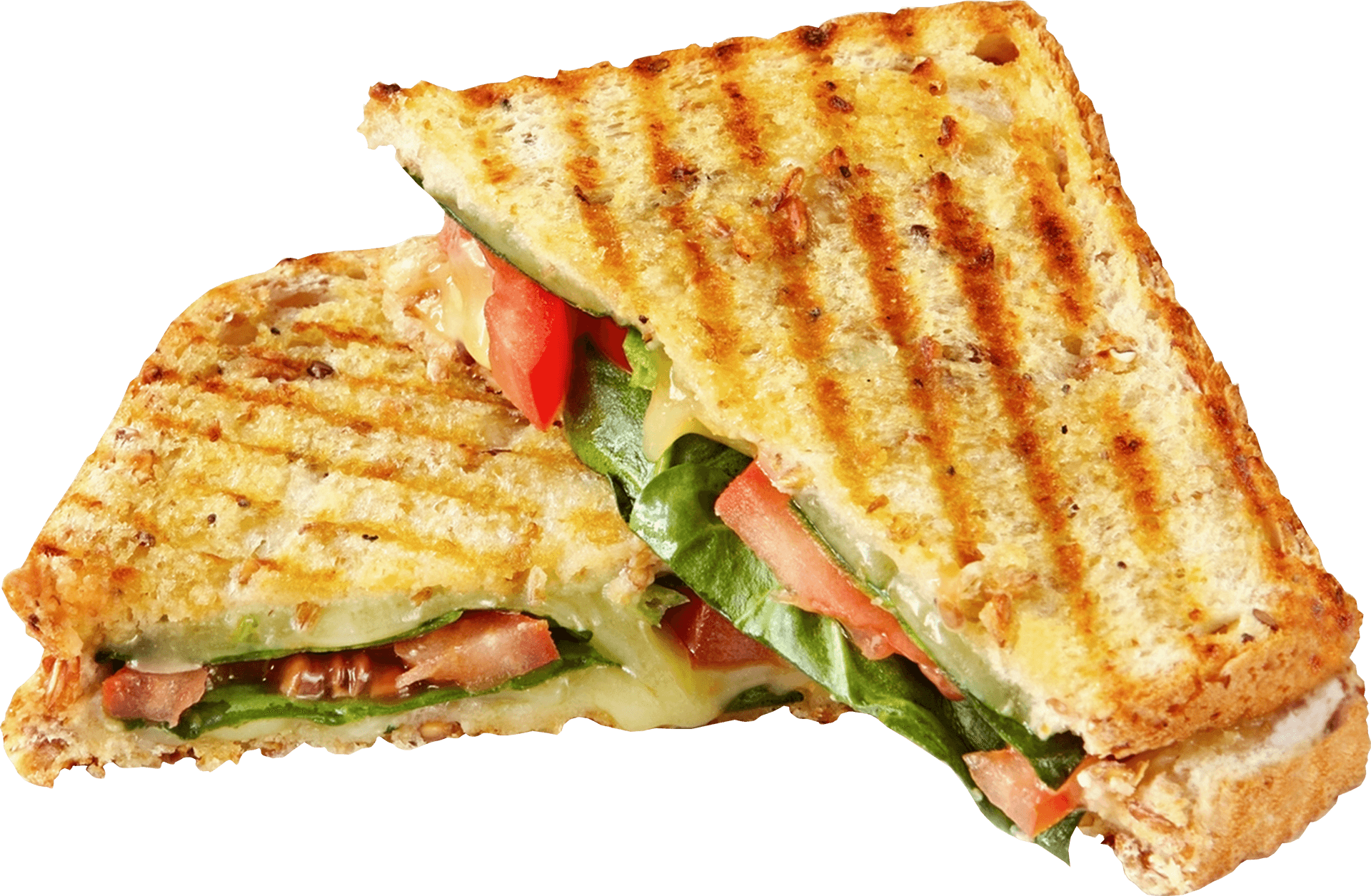 Grilled Cheese Vegetable Sandwich.png PNG Image