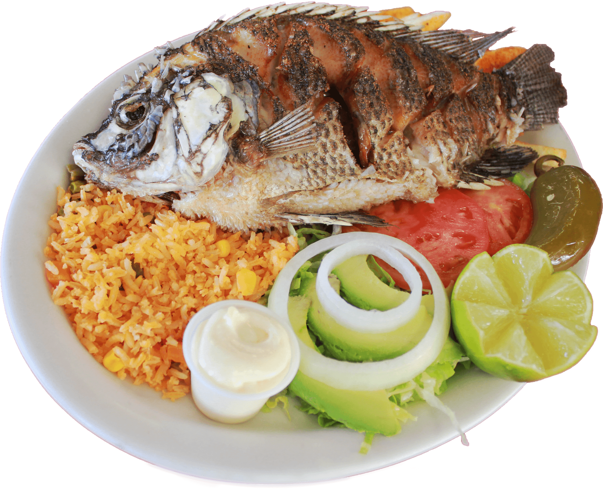 Grilled Fish With Riceand Salad PNG Image