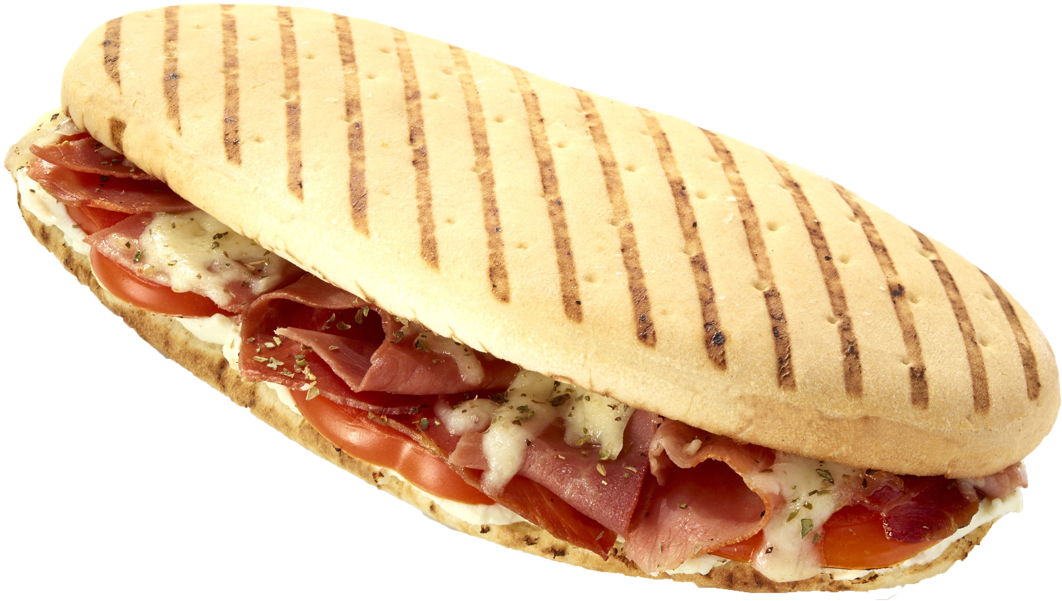 Grilled Panini Sandwich PNG Image