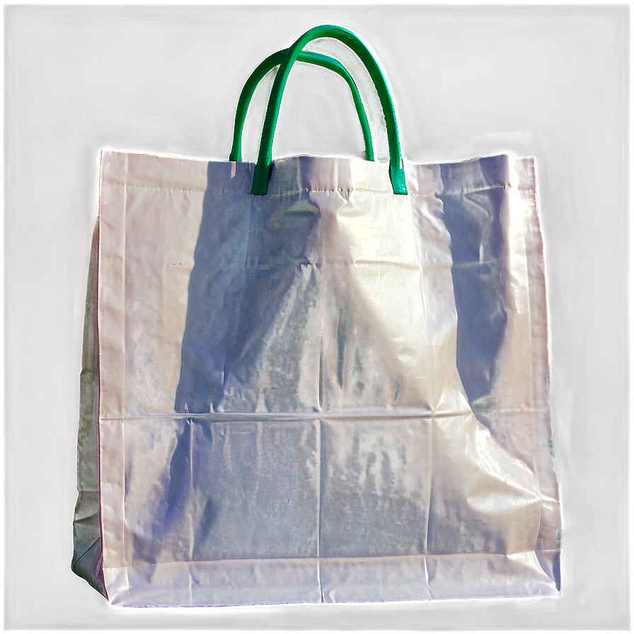 Grocery Shopping Bag Png Ofh27 PNG Image