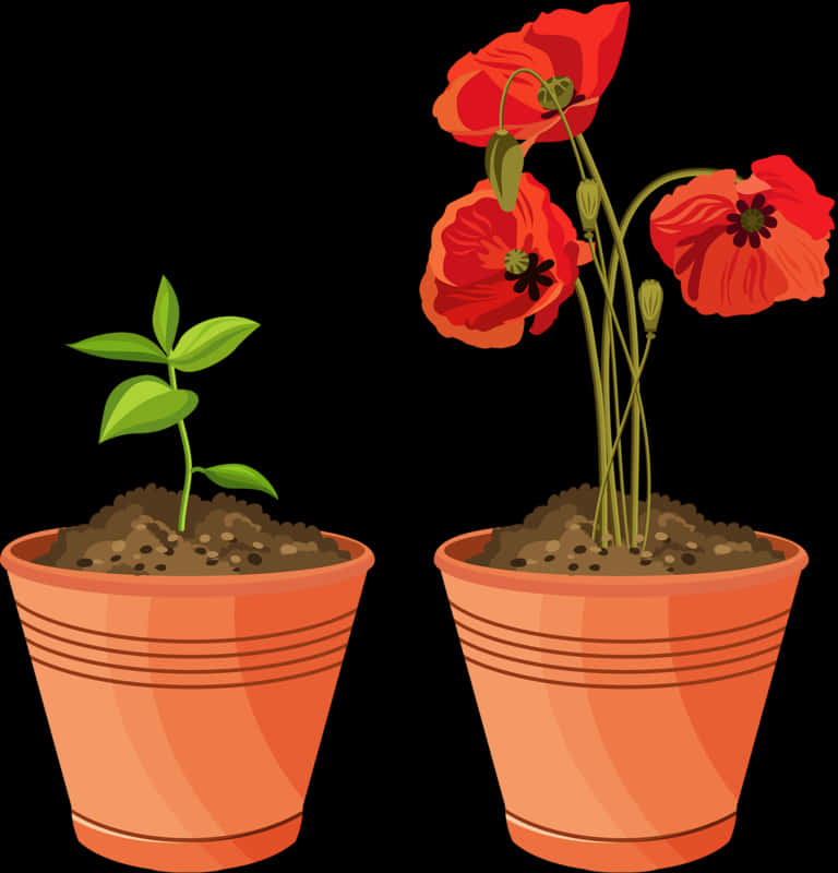 Growth Stagesof Plantin Pots PNG Image