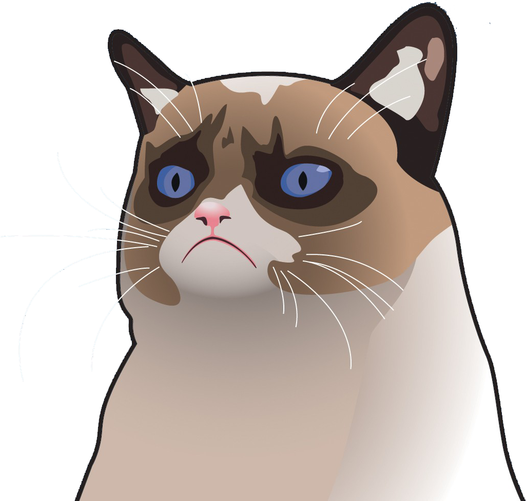 Grumpy_ Cat_ Cartoon_ Expression.png PNG Image