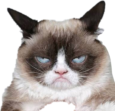 Grumpy Cat Expression.png PNG Image